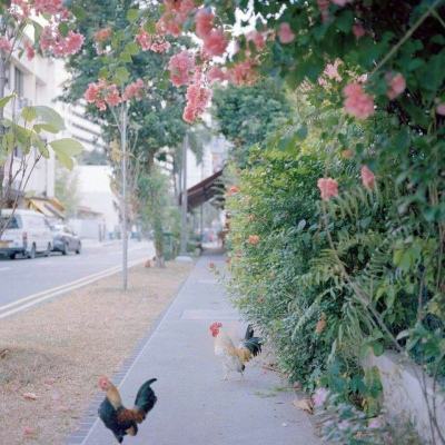 500彩票welcome登录