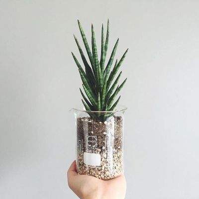 b体育手机在线登录