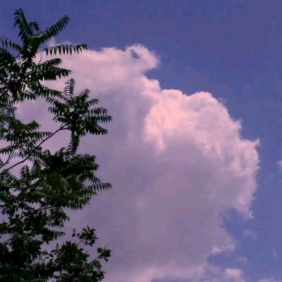 万博max官方入口