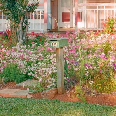 4949澳门免费资料大全