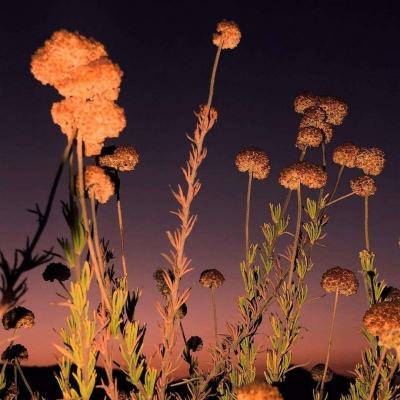 Welcome彩票注册截图